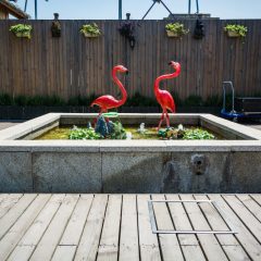 שיפוץ בריכות נוי בגינה – תהליך מקיף שמחזיר חיים למרחב החיצוני